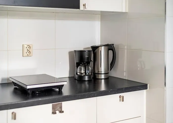 公寓式酒店 010 Center 3*