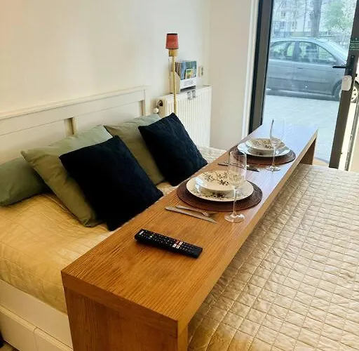 010 Center 鹿特丹